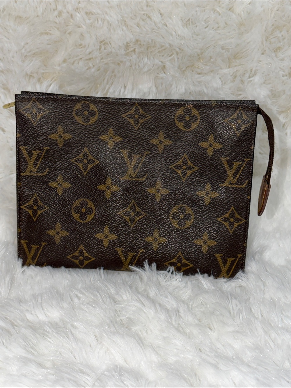 Toiletry/Clutch Pouch
